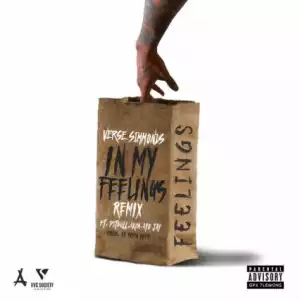 Verse Simmonds - In My Feelings (Remix) ft. Akon, Pitbull & Ayo Jay